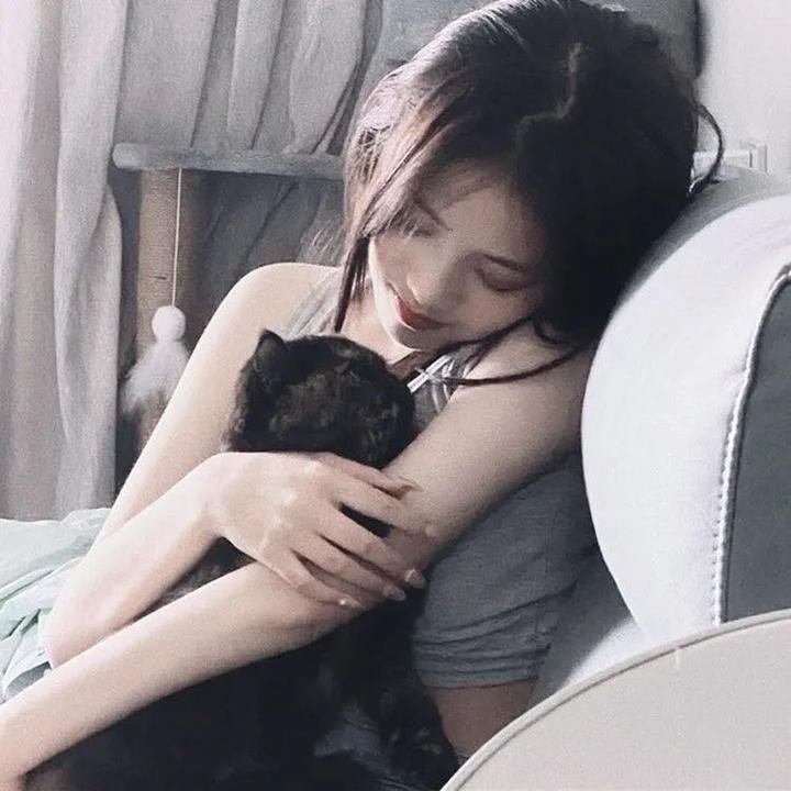 寻宝搭档第二季